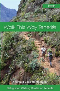 Walk this Way Tenerife front