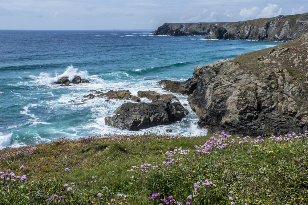 Wild flowers by Valery Collins.