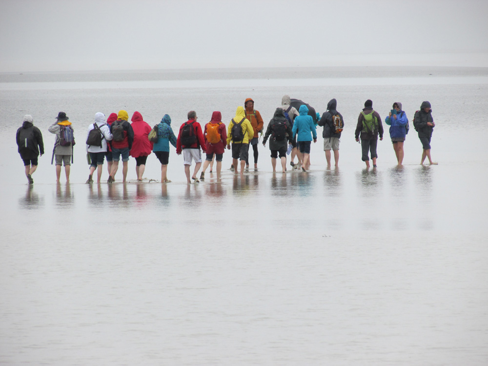 People walking in the Bay of Mont Saint-Michel by Gillian Thornton.