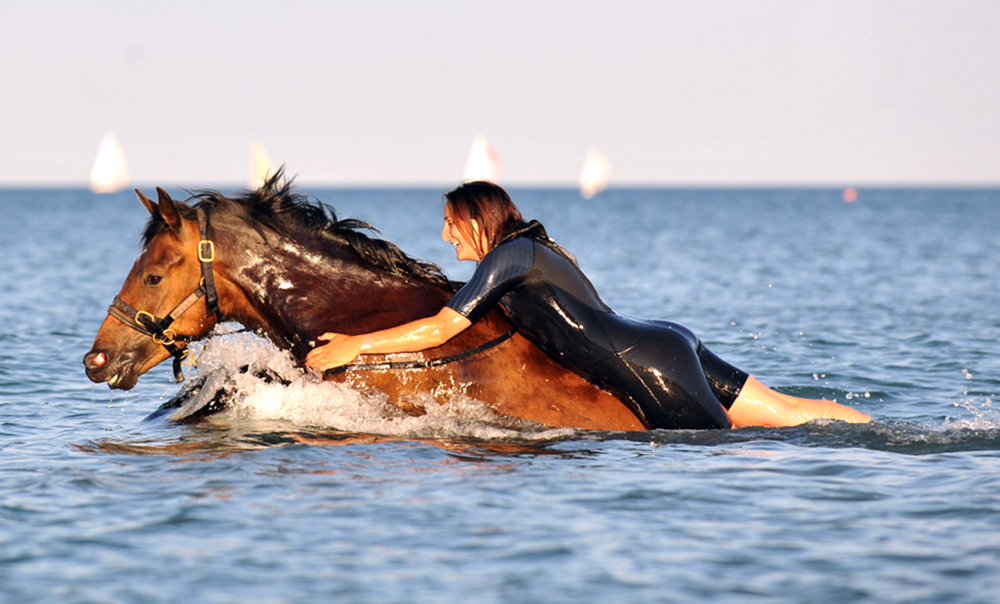 Geoff Moore photographed a sea horse off the Dorset coast