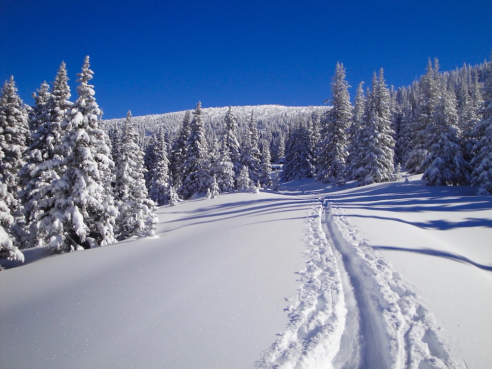 Richard Villar's image of a sunny winter landscape for the Open Spaces exhibition.