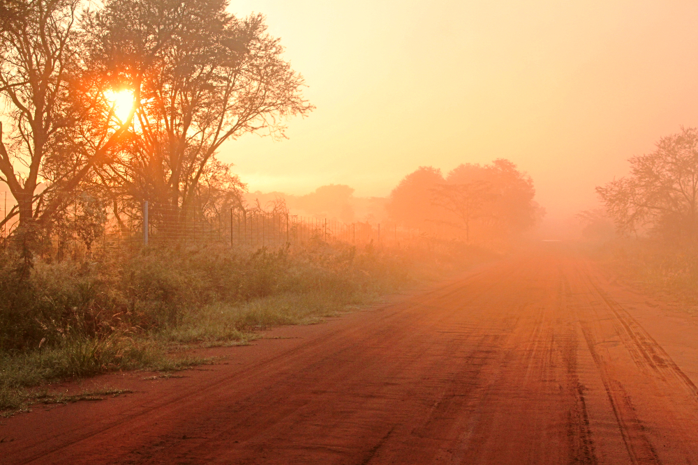 Sasha Arms open road in South Africa.