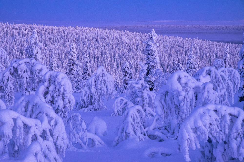 Tim Bird photo of a Nordic landscape.