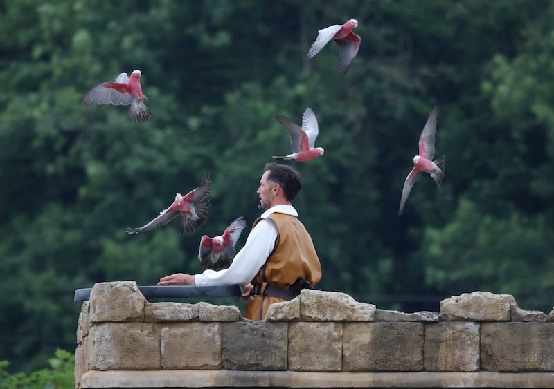 Kynren – The Storied Lands